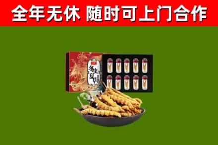临市回收冬虫夏草价格