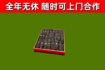 临市回收海参